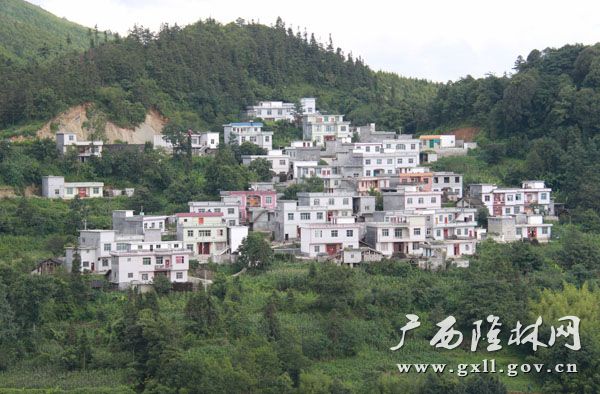 广东倾情帮扶隆林山村变了样