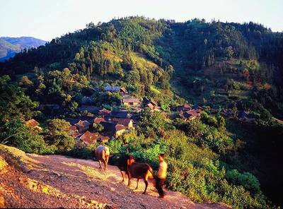 五彩斑斓的隆林花苗服饰--隆林信息网_历史_网