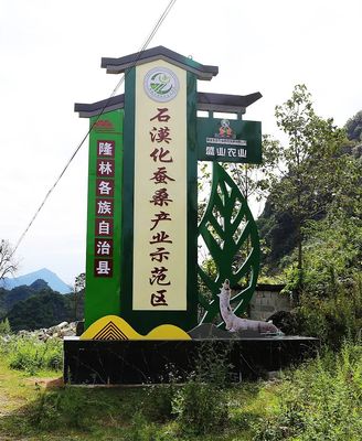 隆林:石漠化蚕桑产业示范区高产高质高效种桑养蚕