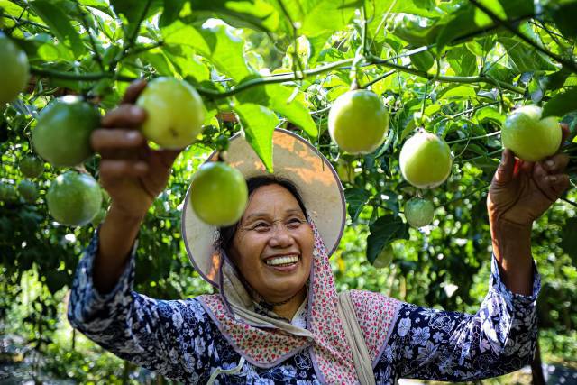 “桂字号”农文旅走进大湾区
