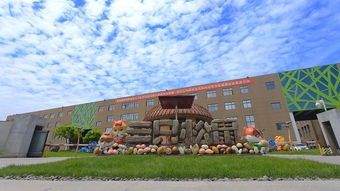 一个走高端路线,一个拼下沉市场,良品铺子和三只松鼠分道扬镳