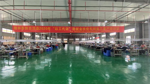 广西壮族自治区百色市隆林各族自治县 家门口就业稳增收