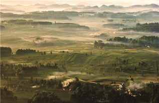 贵州出台绿色制造三年行动计划