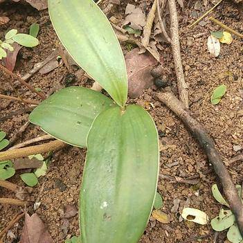 农产品批发供应商杨阿荣 - 惠农网电脑版