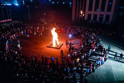 桂字号 农文旅走进大湾区