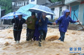 暴雨致广西隆林山洪暴发 百余房屋倒塌