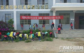 隆林平班小学开展 美丽隆林 清洁校园专项活动