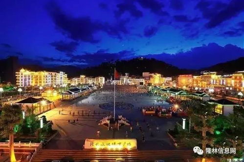 广西隆林各族自治县 使用说明书