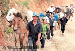 广西隆林村民抗旱自救记 集体上山寻水保家园