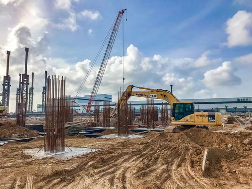 濠江区临港产业布局探秘 上海电气年底试生产，比亚迪3D玻璃厂未来规模将超隆林