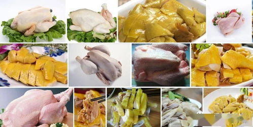 隆林县创新养殖模式 发酵季节性农产品与中草药共育高品质肉鸡