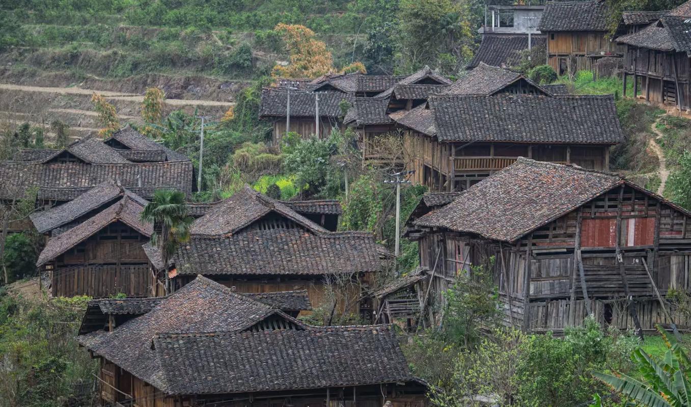 隆林县平流屯 滇黔桂三省交界的百年壮族村落